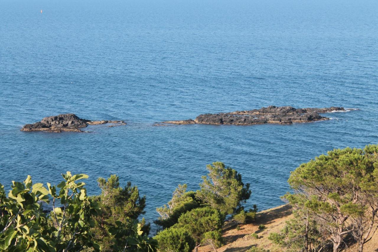 Appartement Vue Mer El Farniente Cerbère Zewnętrze zdjęcie