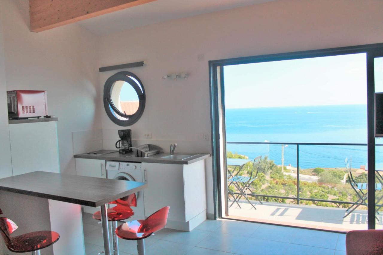 Appartement Vue Mer El Farniente Cerbère Zewnętrze zdjęcie